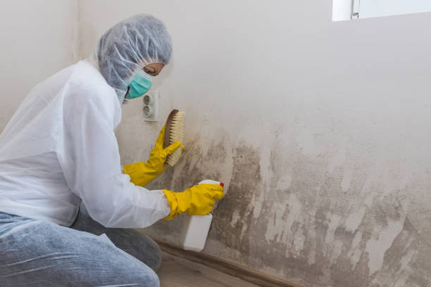 Best Bathroom Mold Remediation in Browns Lake, WI