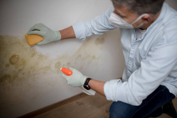 Browns Lake, WI Mold Remediation Company