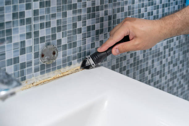 Best Industrial Mold Remediation in Browns Lake, WI