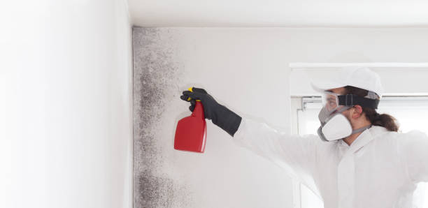 Best Mold Testing and Inspection Services in Browns Lake, WI