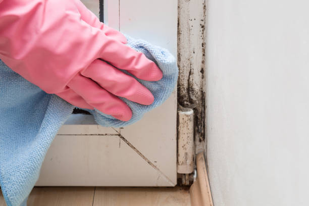 Best Bathroom Mold Remediation in Browns Lake, WI